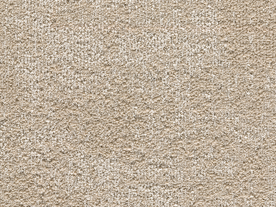 Canvas-Beige-35