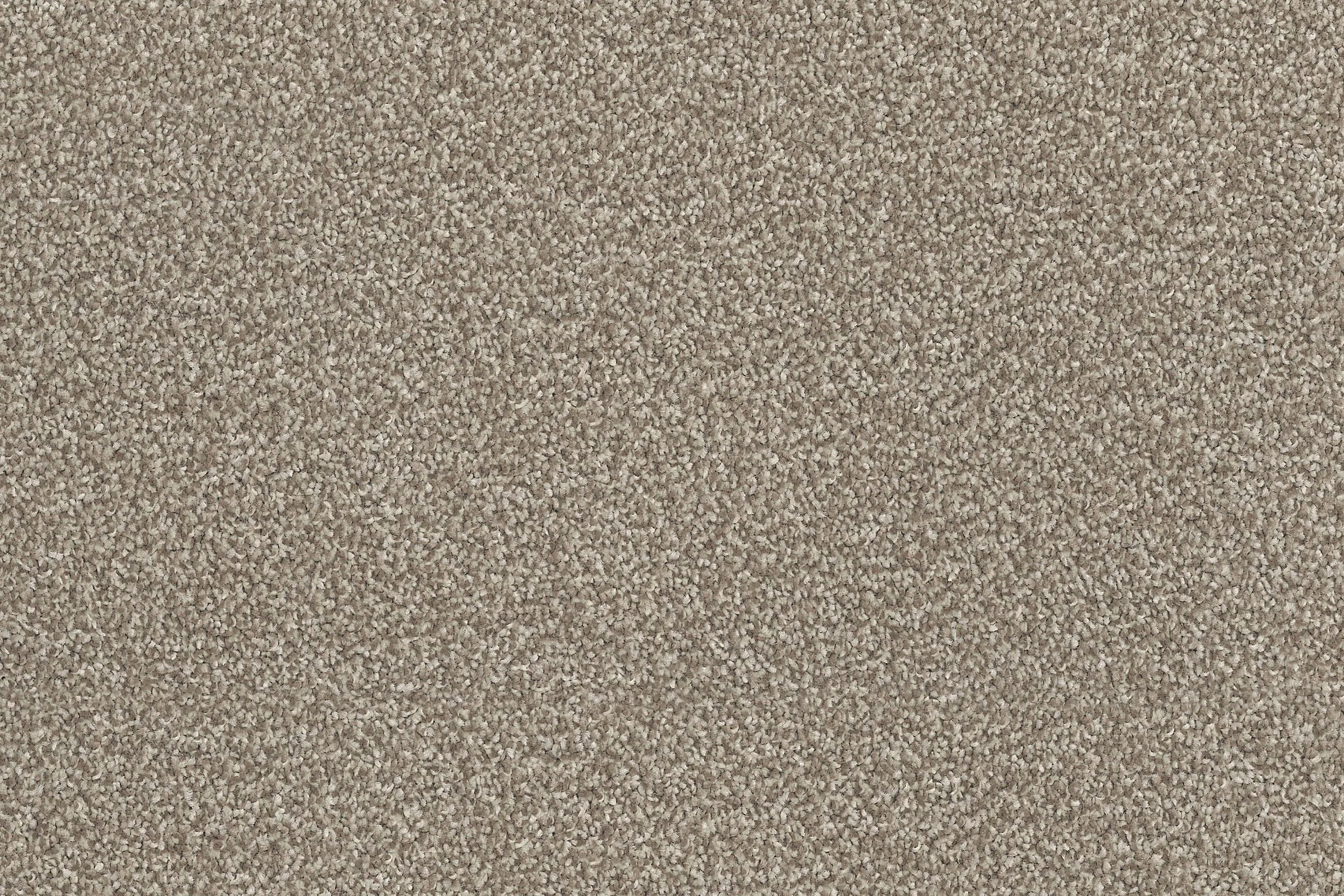 176 - Tortilla